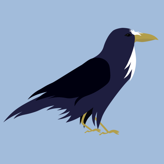 profile picture of a computer drawn, blue, raven-like bird